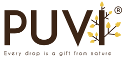 Puvi